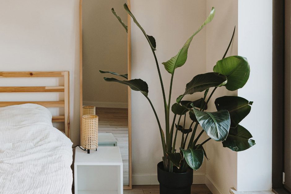 rent a room 